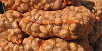 Prices of potatoes slightly increased