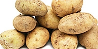 Prices of early potatoes are decreasing