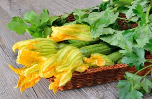 Finn's Fleur: Opakowanie markowe dla kwiatów cukinii