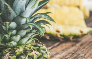 W 2026 roku FIFA, ananas zdobywa gole w Kostaryce.