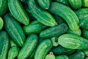 Biodegradowalna sznurek oferuje alternatywę dla plastiku w produkcji w szklarniach