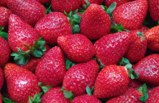 Irlandia uruchamia program wsparcia paliwa dla producentów owoców i warzyw.
