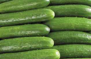 Ceny ogórków szklarniowych na Ukrainie nadal gwałtownie spadają.