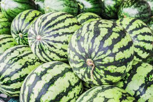 Anecoop rozpoczyna kampanię, w której przewiduje się zbior 120 000 ton i promuje arbuz o pomarańczowej miąższu.