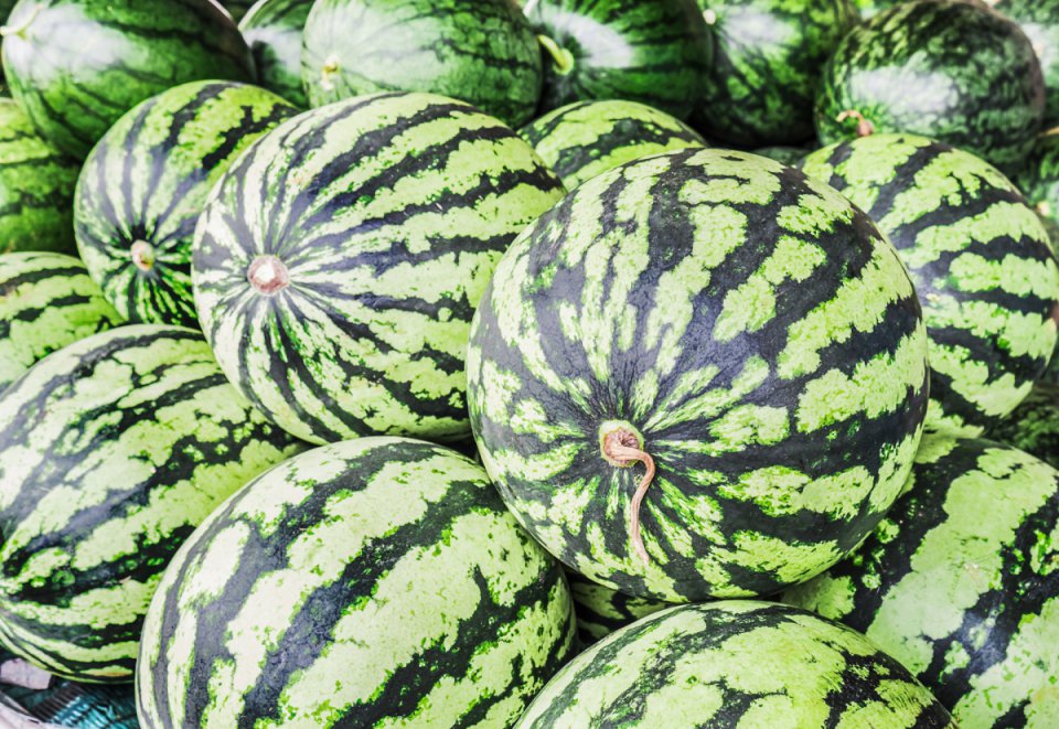 Hiszpania, arbuz i melony ruszają: mało towaru i wysokie ceny