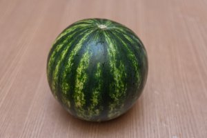 Nowości firmy Basf Nunhems w dziedzinie arbuzów, melonów i karczochów.