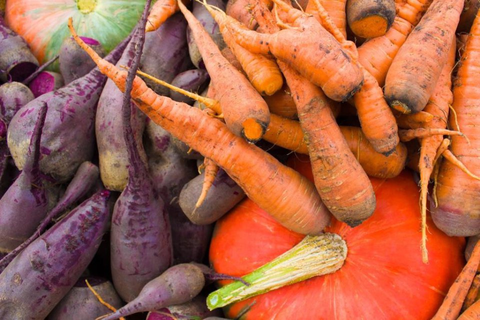 Orsero staje się kluczowym operatorem w łańcuchu dostaw liczi z Madagaskaru.