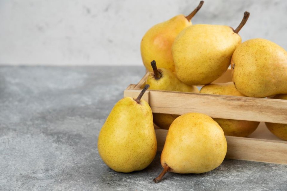 Lleida, Hiszpania: produkcja gruszek w kłopotach