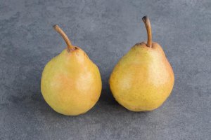 Hiszpańscy plantatorzy gruszek z Nawarry spełniają warunki do otrzymania pomocy w zwalczaniu ognicy.