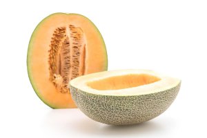 Zjawiska pogodowe komplikują sadzenie melonów.