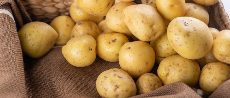 Ceny ziemniaków w Polsce spadają o 43%, ponieważ import z Niemiec wzrósł.