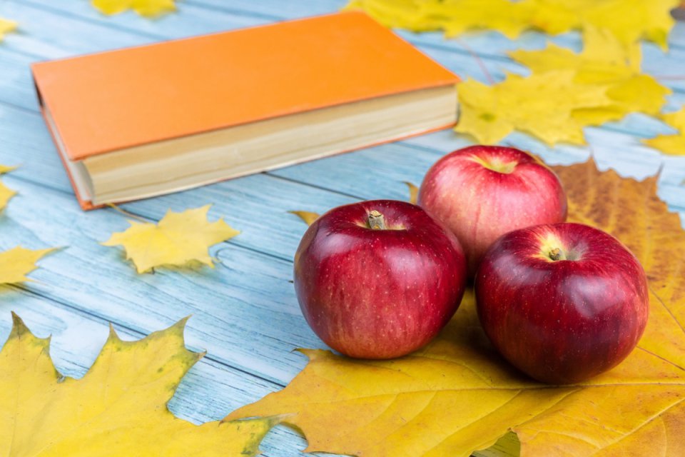 Irlandia testuje 50 odmian jabłek w ramach programu badawczego.