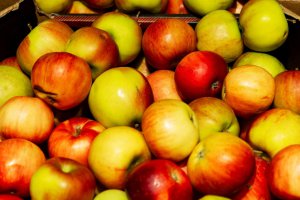 Brak Iranu powoduje ograniczenie zapasów jabłek w Indiach; ceny innych pochodzeń rosną