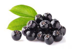 Aronia jest podatna na szkodliwe skutki przymrozków. Obecność białych kwiatów nie zapewnia wysokich plonów.