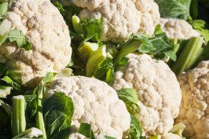 Nowe spojrzenie na różnorodność i klimat w uprawie kalafiora w podłożu w szklarni