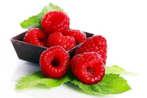 Wyczerpanie gleby w uprawie malin może być rozwiązane za pomocą mikrobiologii.