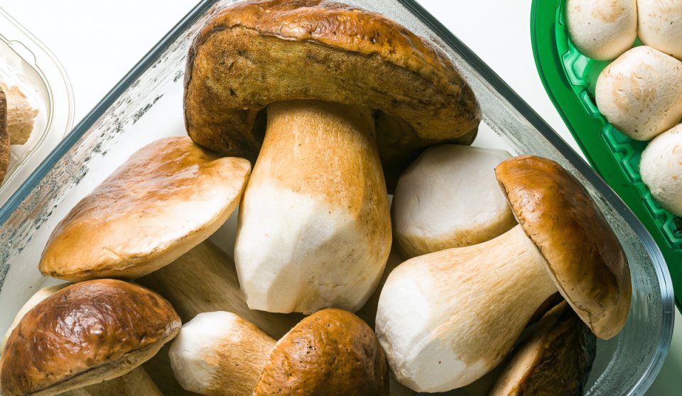 Rewolucja przechodzi przez grill: FungAmico stawia grzyby na środku stołu.