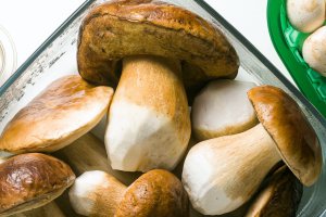 Kanadyjscy hodowcy egzotycznych grzybów są zirytowani importowanym kompostem