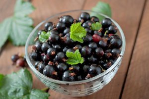 Nawożenie i ochrona porzeczki czarnej w kluczowej fazie
Nawożenie i ochrona porzeczki czarnej są bardzo ważne w kluczowej fazie wzrostu i owocowania rośliny. Odpowiednie nawożenie zapewni roślinie niezbędne składniki odżywcze, które są niezbędne do prawi