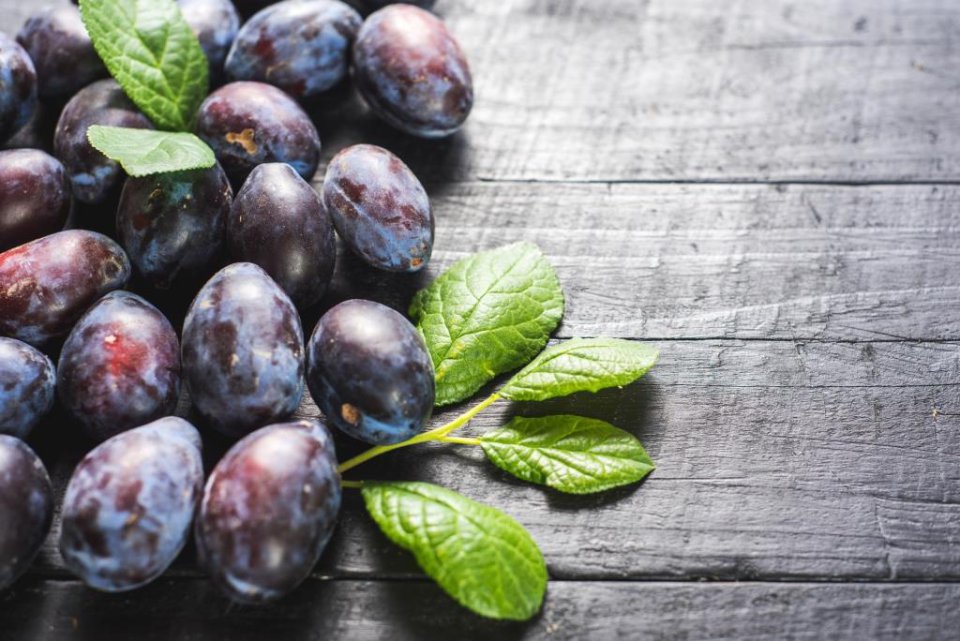 Chilijscy dostawcy tworzą BabyPlum Club dla wysokiej jakości śliwek.