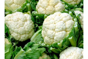 Cauliflower Wholesale Prices at Multi-Year Average Level