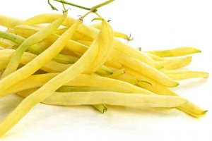 Green Bean Prices Not Falling