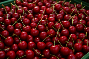 Heavy Import Pressure Drives Down Polish Cherry Prices in June