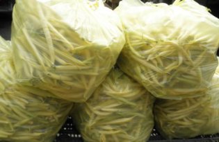 Higher Prices for Green Beans