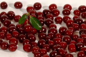 Polish Cherries Now Available in Local Wholesale Markets