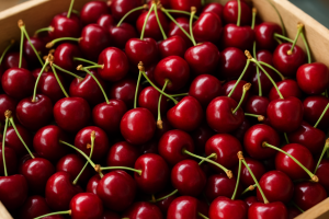 Polish cherry market: heavy import pressure, local prices at Bronisze reach 25 PLN/kg