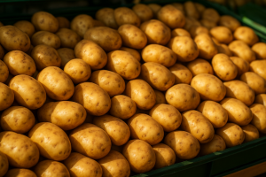Polish Early Potato Supply Rises, Wholesale Prices at €0.5–0.7/kg in Warsaw