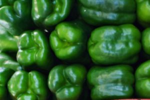 Polish Peppers Hold Their Prices