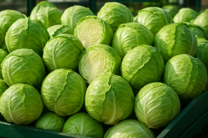 Stable cabbage prices and steady supply on Polish wholesale markets in June