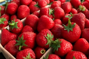 Strawberries: Shorter Season and Decline in Supply of Dessert-Quality Fruit