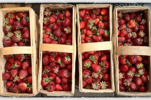 What Is Happening with Industrial Strawberry Purchase Prices?