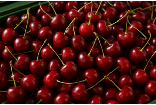 Wholesale Cherry Prices Drop in Warsaw and Major Polish Markets Amid Rising Domestic Supply