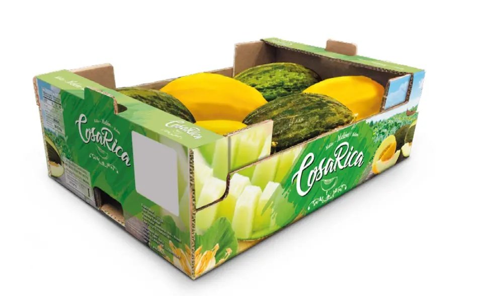 Melony i arbuzy COSARICA z Brazylii – start sezonu CMR Group na rynek polski