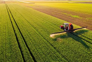 Choroby roślin a plon – kiedy reagować i jak nie przegapić momentu?