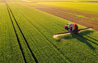 Choroby roślin a plon – kiedy reagować i jak nie przegapić momentu?