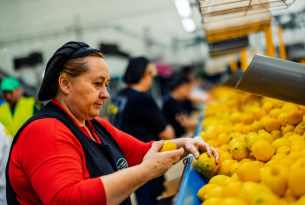 Jak hiszpańska spółdzielnia Limonar de Santomera rewolucjonizuje logistykę świeżych produktów