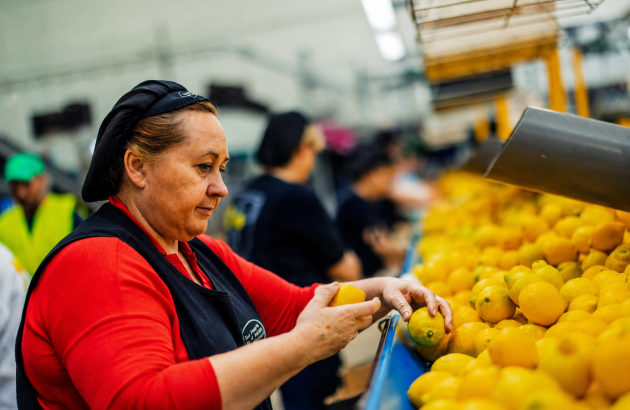 Jak hiszpańska spółdzielnia Limonar de Santomera rewolucjonizuje logistykę świeżych produktów