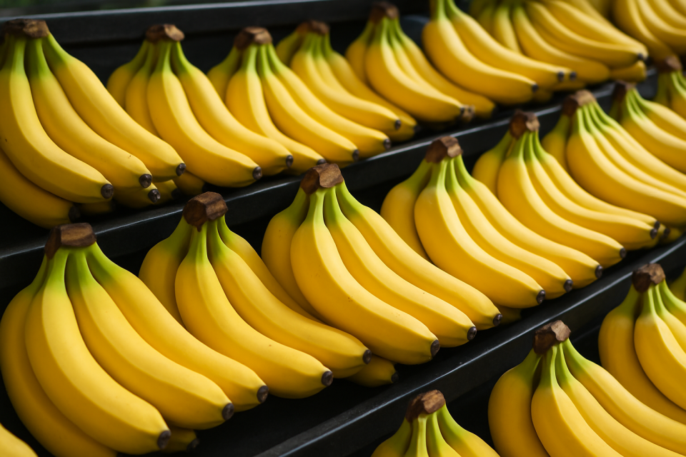Wyspy Kanaryjskie: zagrożenia dla upraw bananów w związku ze zmianami klimatu
