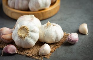 Ważność ekonomiczna czosnku w Mendozie wzrasta pomimo konkurencji ze strony Chin.