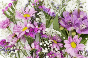 CAN: Floral Express przejmuje hurtownię kwiatów Florex