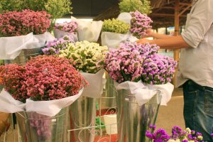 Stany Zjednoczone (GA): 