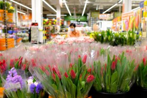 KANADA: Kwiatowa farma w Ontario nadal rośnie pomimo niepewności.