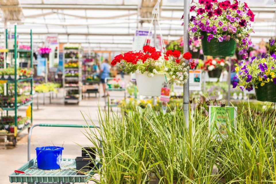 UK: Patrząc w przyszłość na Festiwal Wiosenny RHS Malvern