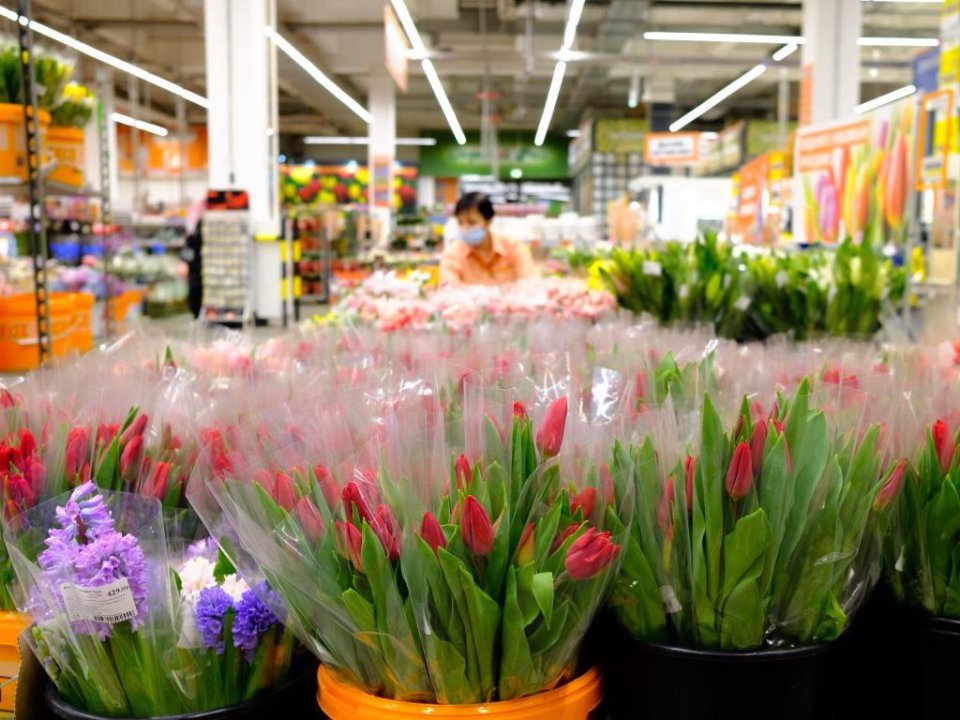 Grupa Floralna Delaware Valley przejmuje hurtownię kwiatów w Nowej Anglii.