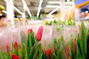 Ekspozycja Flora Expo w Astanie rozpoczyna się z udziałem wielu holenderskich uczestników.