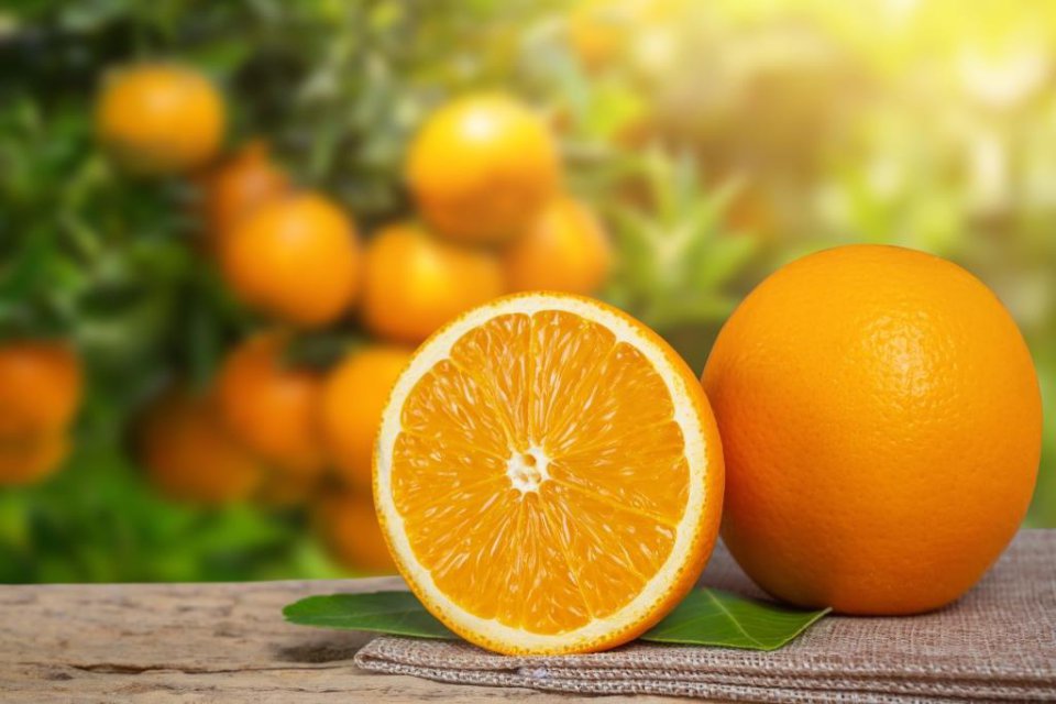 Pomarańcze i ciecierzyca staną się 
